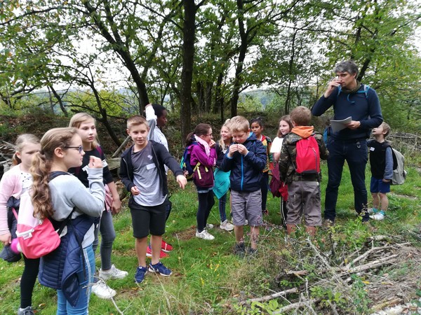 Saint Joseph Remouchamps école fondamentale maternelle primaire Heid des Gattes 50