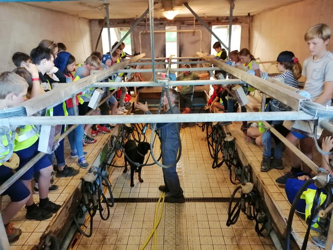 Ferme saint joseph remouchamps ecole fondamentale maternel primaire 27