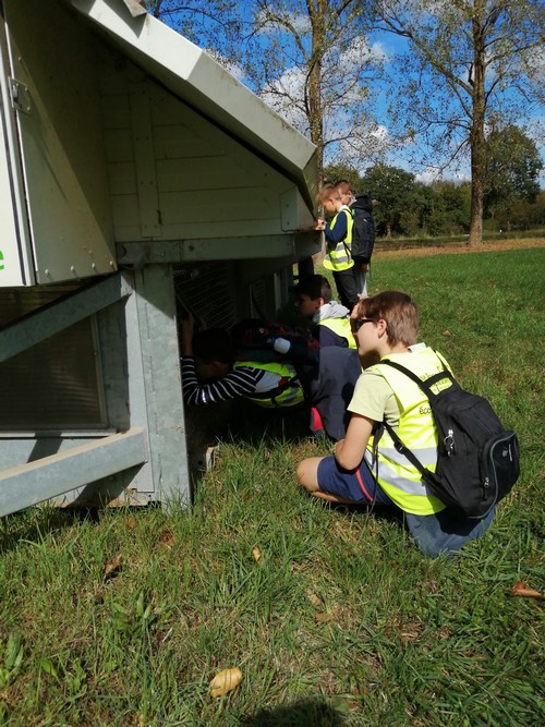 Ferme saint joseph remouchamps ecole fondamentale maternel primaire 27