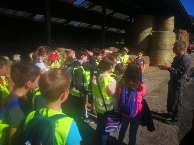 Ferme saint joseph remouchamps ecole fondamentale maternel primaire 27