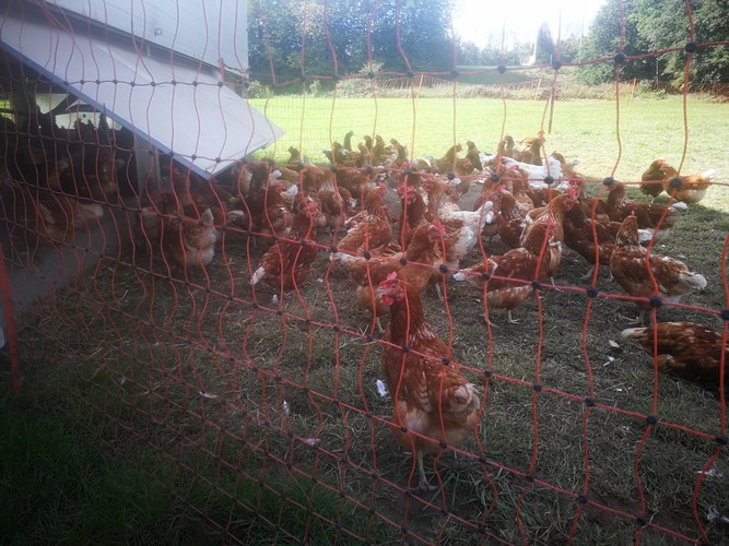 Ferme saint joseph remouchamps ecole fondamentale maternel primaire 27