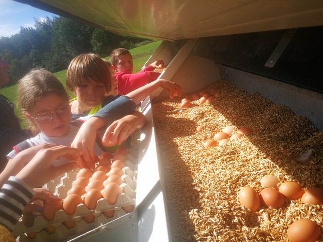 Ferme saint joseph remouchamps ecole fondamentale maternel primaire 27