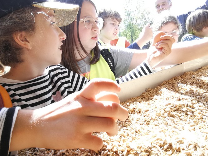 Ferme saint joseph remouchamps ecole fondamentale maternel primaire 27