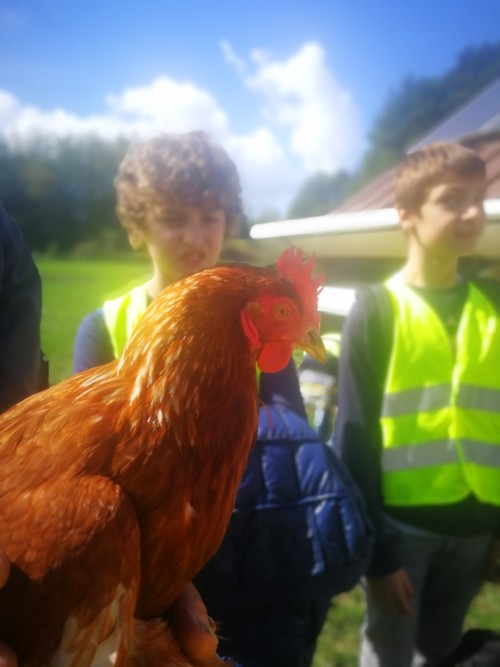 Ferme saint joseph remouchamps ecole fondamentale maternel primaire 27