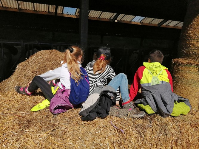 Ferme saint joseph remouchamps ecole fondamentale maternel primaire 27