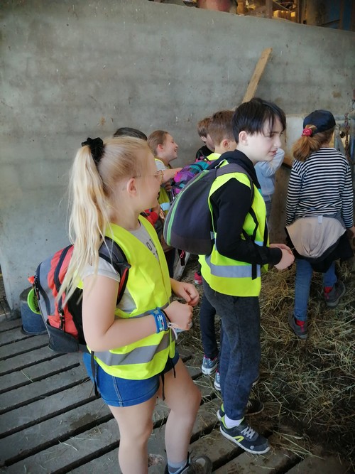 Ferme saint joseph remouchamps ecole fondamentale maternel primaire 27