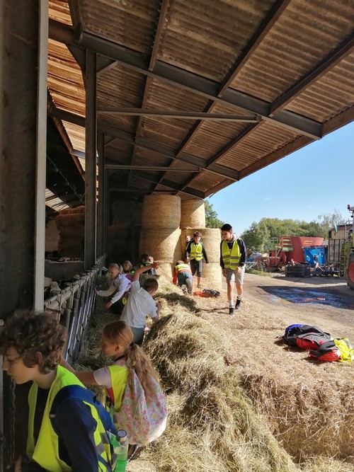 Ferme saint joseph remouchamps ecole fondamentale maternel primaire 27