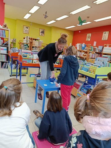 bibliothèque saint joseph remouchamps école fondamentale maternel primaire 1