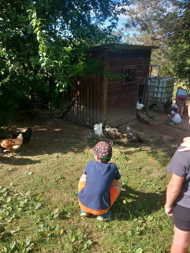 515356193 1295933339199054 4175609035719579751 n