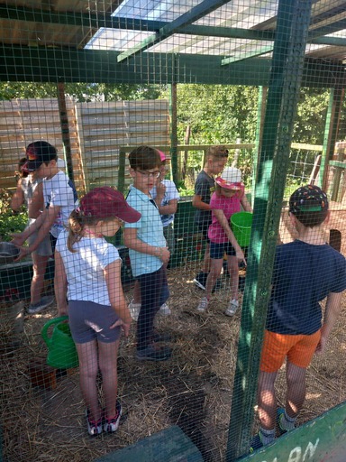 515356193 1295933339199054 4175609035719579751 n