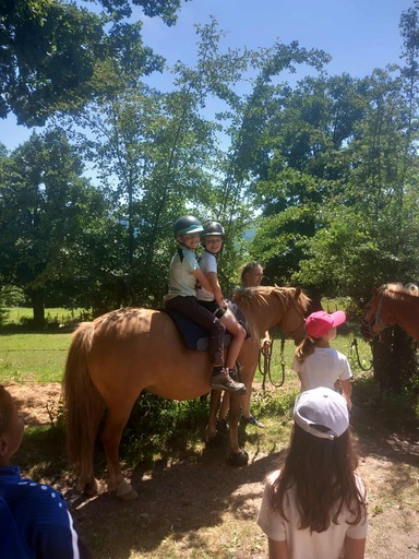 515356193 1295933339199054 4175609035719579751 n