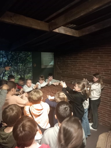 495126605 1247191487406573 2107751451285558283 n