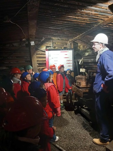 555782629 1371517334973987 1827037921983425781 n