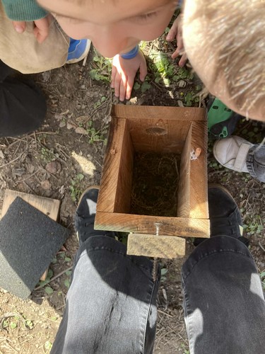oiseaux saint joseph remouchamps école fondamentale maternel primaire 1
