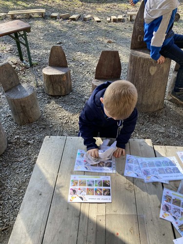 oiseaux saint joseph remouchamps école fondamentale maternel primaire 1