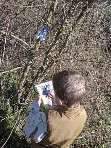 oiseaux saint joseph remouchamps école fondamentale maternel primaire 1