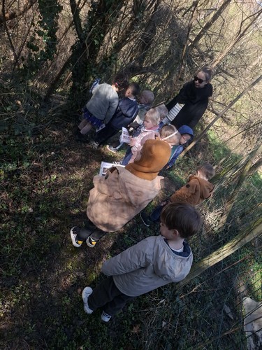 oiseaux saint joseph remouchamps école fondamentale maternel primaire 1