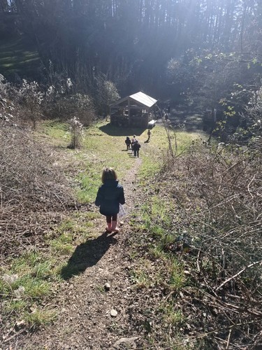 oiseaux saint joseph remouchamps école fondamentale maternel primaire 1