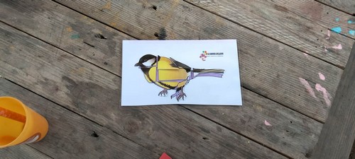 fp m3 saint joseph remouchamps école fondamentale maternel primaire 2